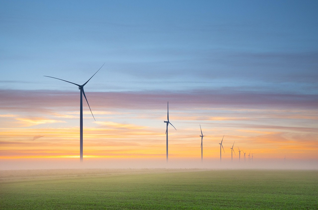 Ecologische producten voor halverwege het jaar schoonmaken. Ecologische producten voor halverwege het jaar schoonmaken.