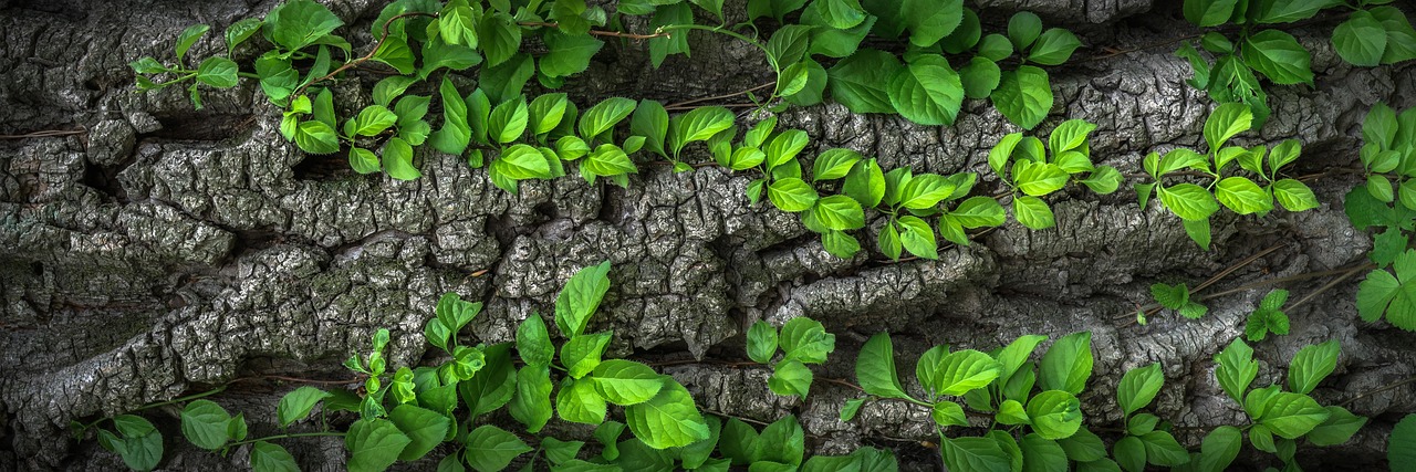 Gezellige slaapkamer met natuurlijke houten texturen. Gezellige slaapkamer met natuurlijke houten texturen.