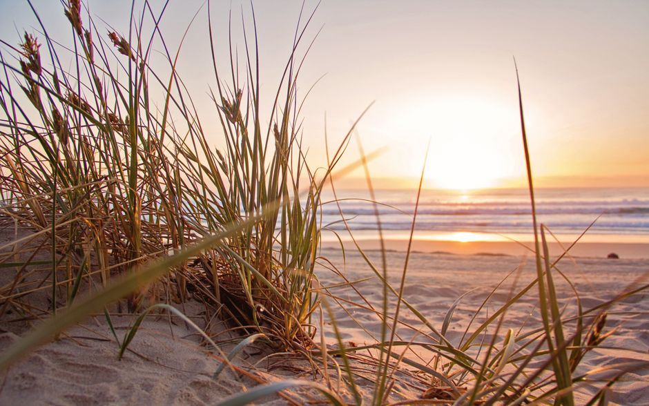 Gezellige tuinposter met strandstoelen en zeezicht. Gezellige tuinposter met strandstoelen en zeezicht.