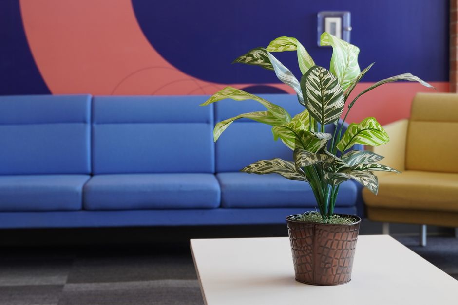 Slimme planten verbeteren binnenluchtkwaliteit. Slimme planten verbeteren binnenluchtkwaliteit.