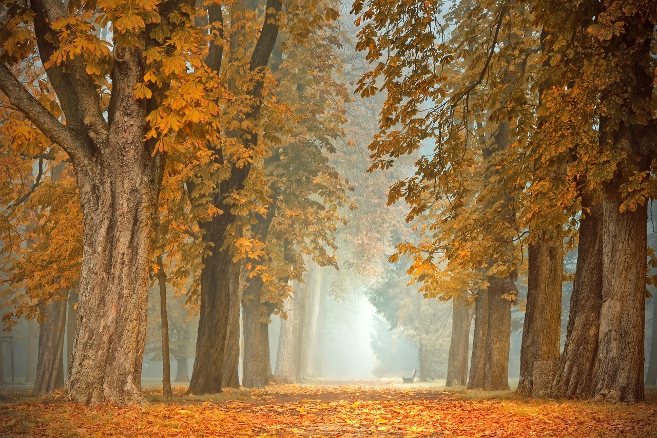 Trendy herfstkleuren op vernieuwde veranda.