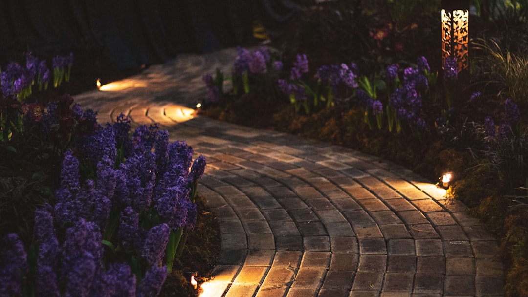 Zelfvoorzienende lichtpaal verlicht groene tuin. Zelfvoorzienende lichtpaal verlicht groene tuin.
